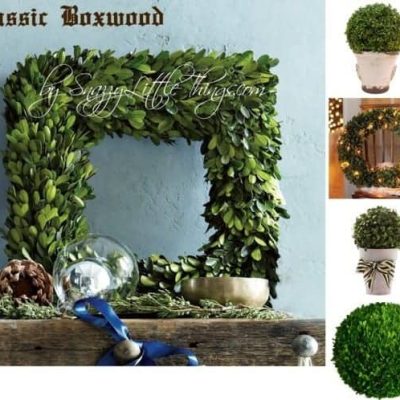 Boxwoods & Grapevine Garlands
