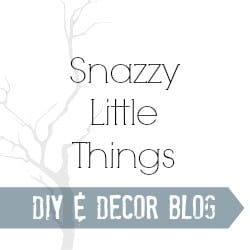 Snazzy Little Things Snazzy Little Things