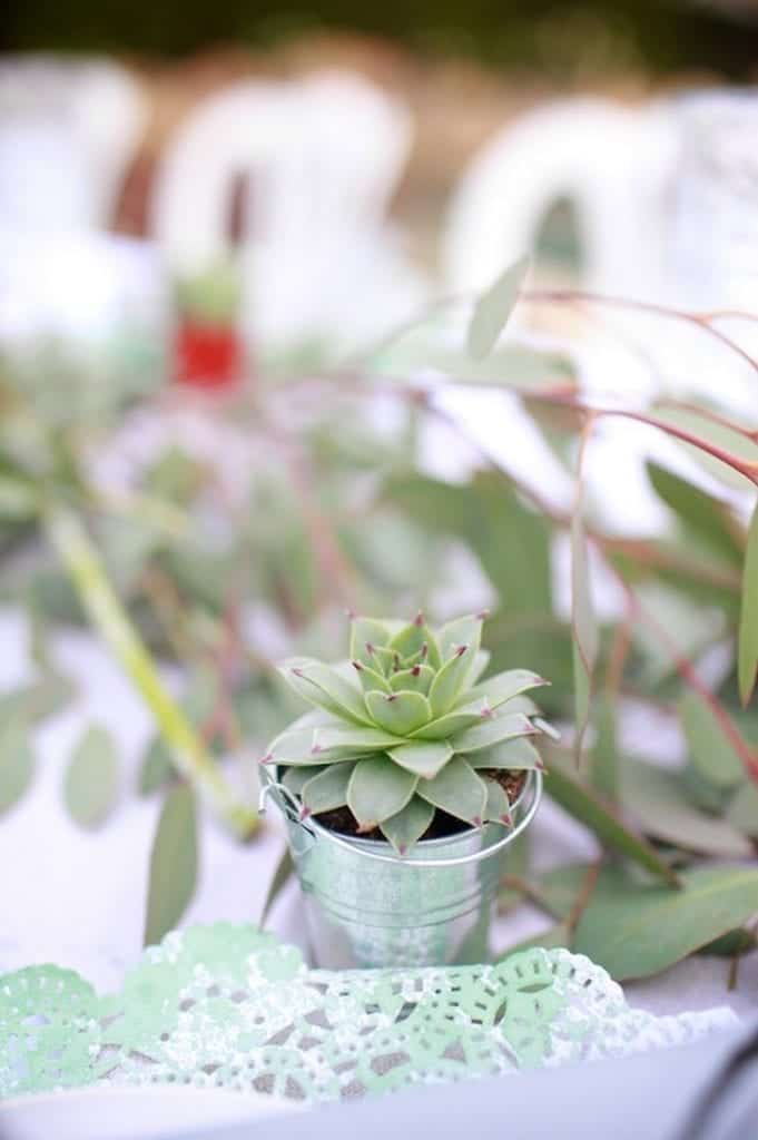 Succulent Wedding Favor in Galvanized Bucket