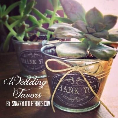 Succulent Wedding Favors Vintage Wedding DIY Ideas
