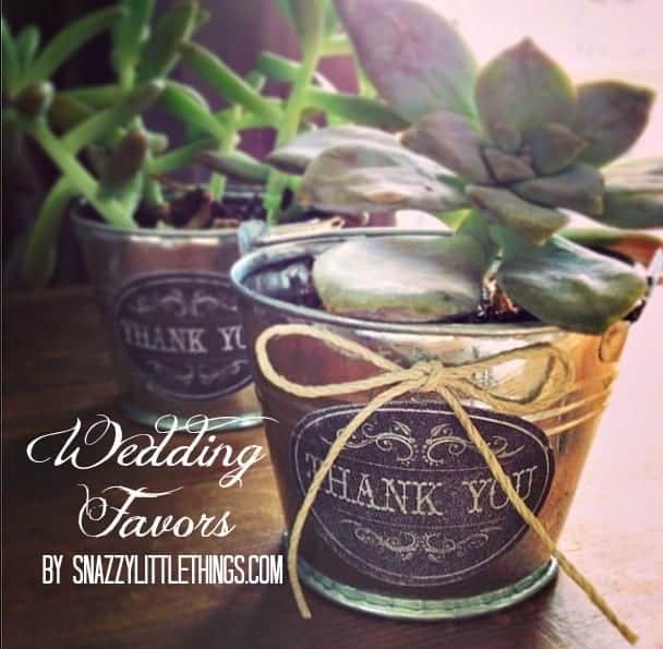 Succulent Wedding Favors Vintage Wedding DIY Ideas