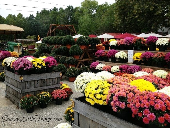 farmers-market-ohio