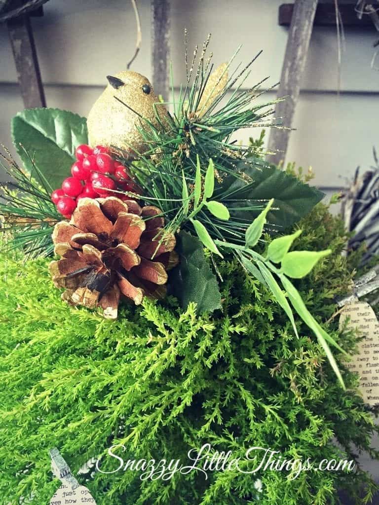 12 Days of Christmas Holiday Tour- Partridge in a Peartree