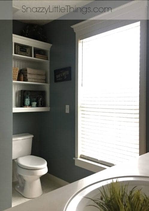 Built In Shelving After