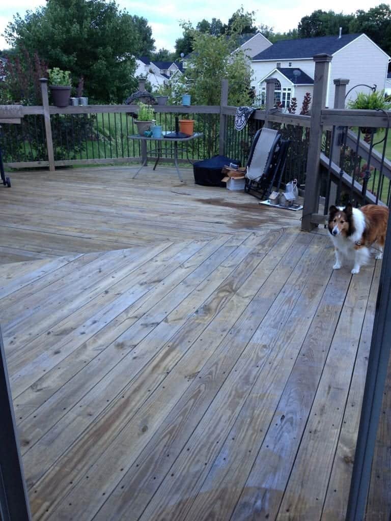 Deck Before Powerwashing