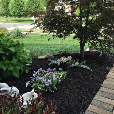 Entrance Landscape @snazzylittlethings
