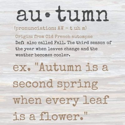 au tumn (1)