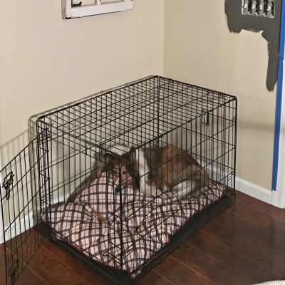 DIY Dog Crate ideas, dog crate table, building plans