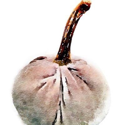 watercolor-pumpkin