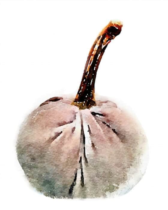 watercolor-pumpkin