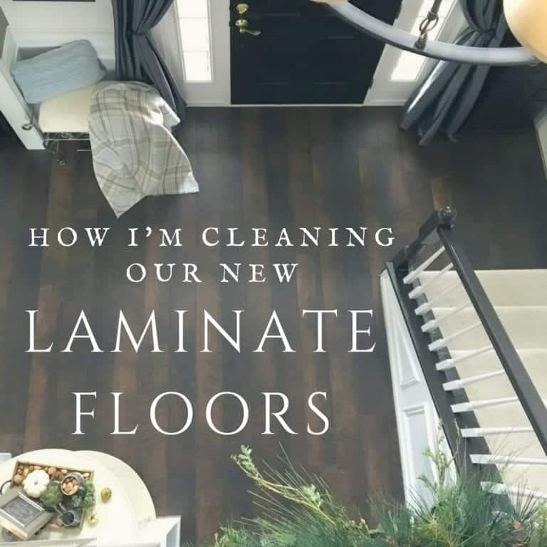 The Best Vacuum for Laminate Floors