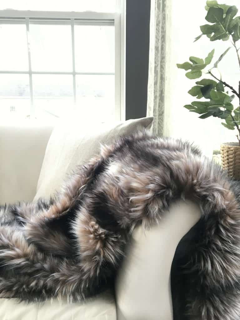 Fur Blanket in Sunroom