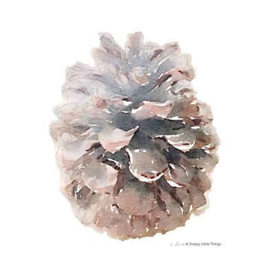 Winter Pinecone Watercolor Printable