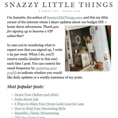 Mailchimp Newsletter Example by Snazzy Little Things