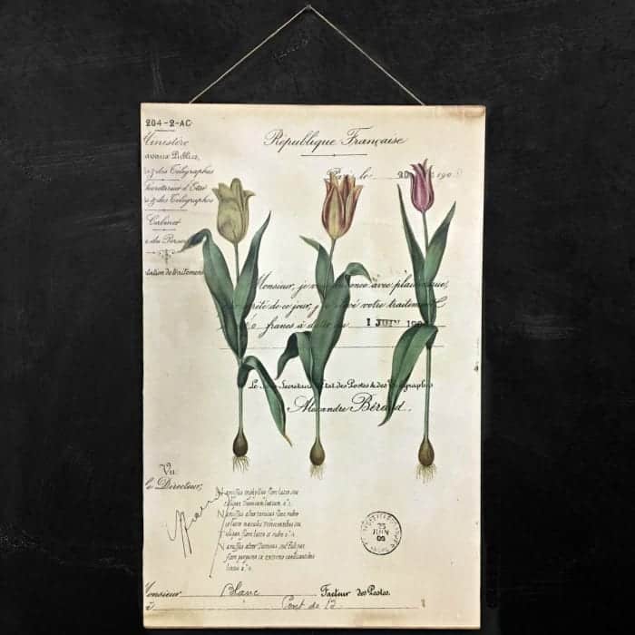 Botanical Art with Twine by Snazzy Little Things