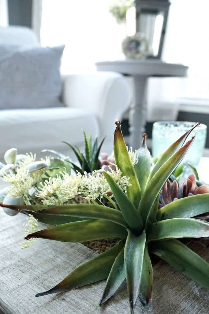 Sunroom Tour Spring Decor Close Up of Succulent Centerpiece