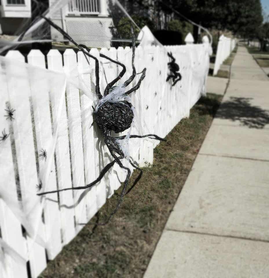 Halloween Spiders Picket Fence 2018