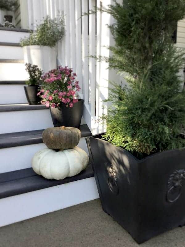 nod to fall front porch tour close up of right planter