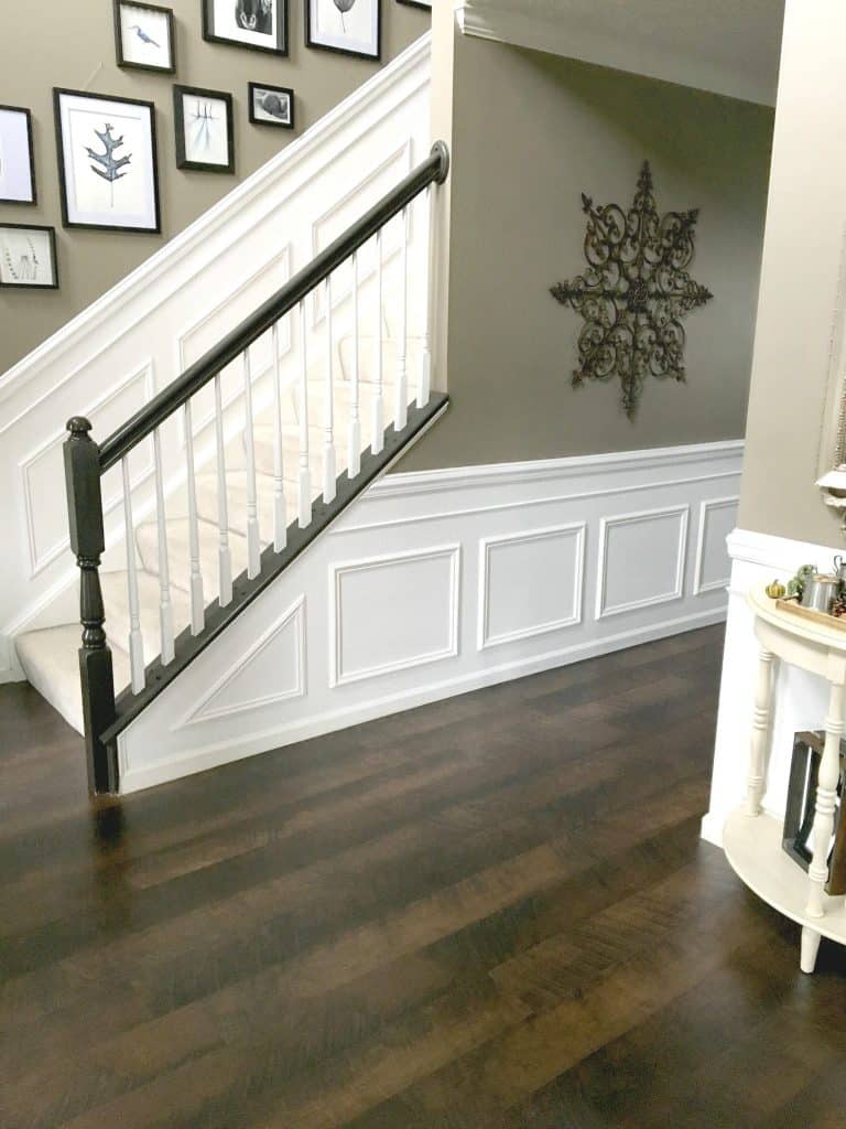 foyer entryway with wainscoting and dark walnut floors