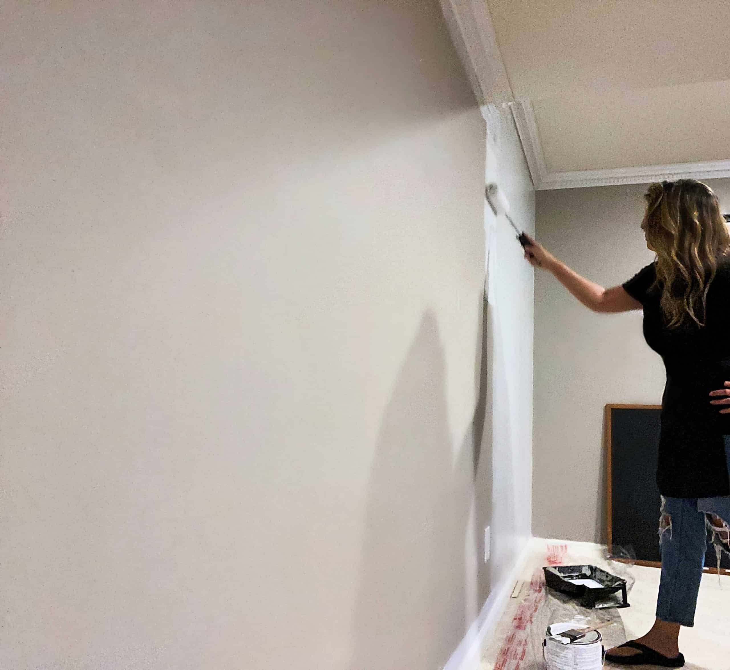 Accent Wall Ideas for Home Office Applying Primer in Basement