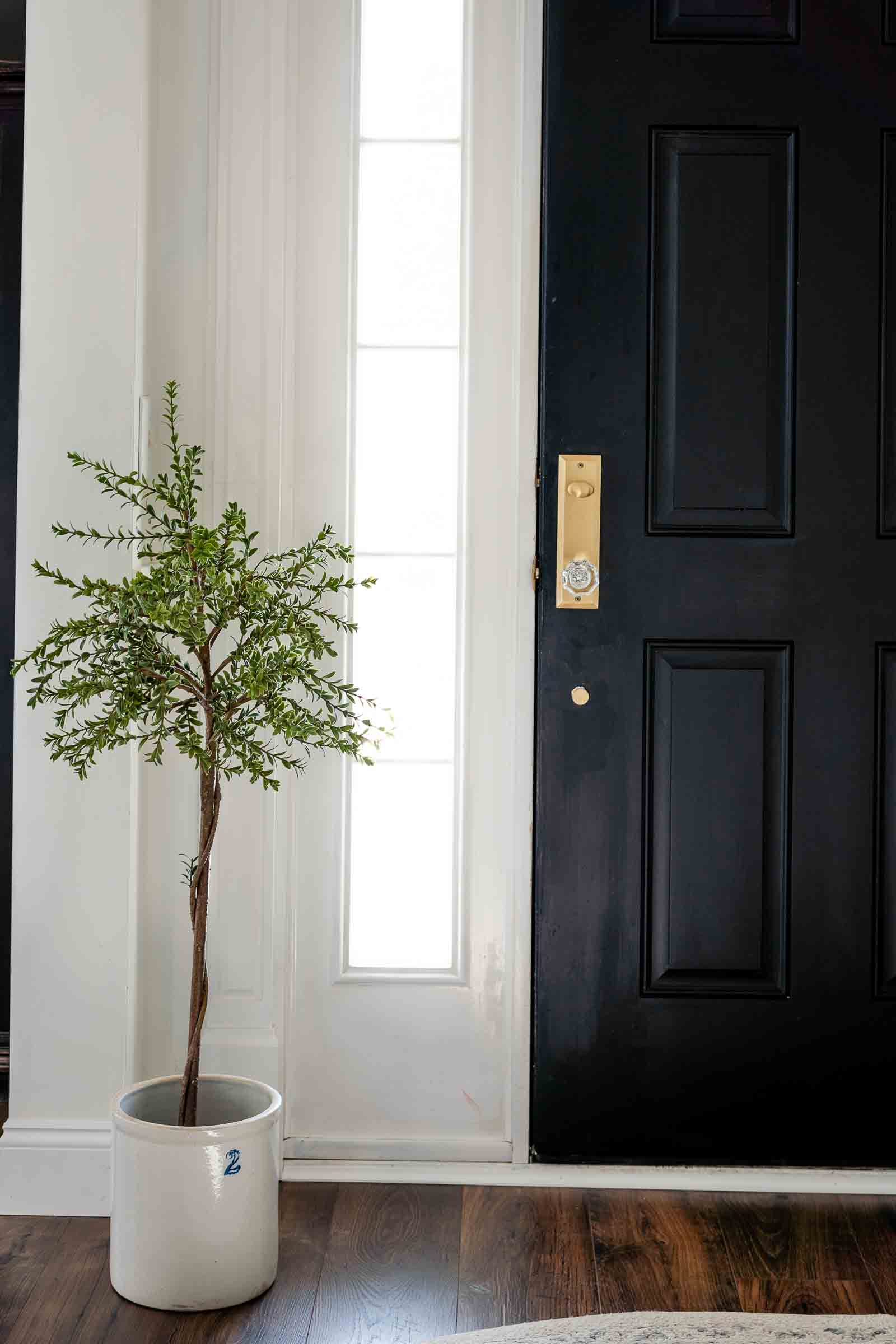 Laminate floor with black front door and white trim accents