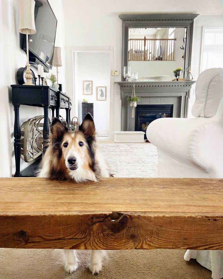 Made a dog crate console table using plans from ! I'm an amateur  learning new skills with each piece- this was the first time I installed a  drawer, used pocket holes, and