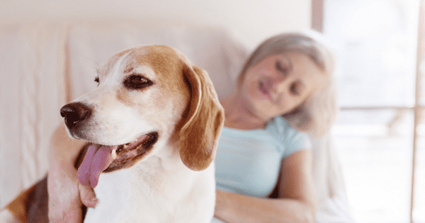 5 Ways to Get Your House Ready for a New Dog