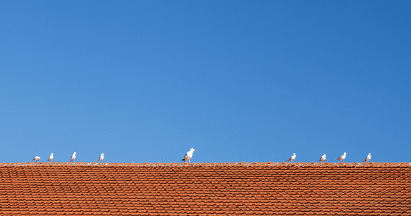 5 Reasons Why You Should Invest In Your Roof